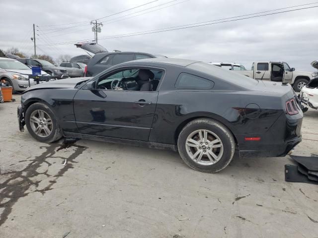 2014 Ford Mustang