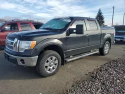 Ford Vehiculos salvage en venta: 2010 Ford F150 Supercrew