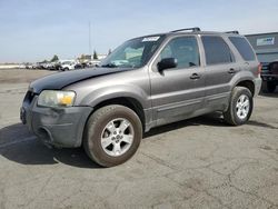 Salvage cars for sale from Copart Bakersfield, CA: 2005 Ford Escape XLT