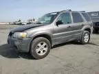 2005 Ford Escape XLT