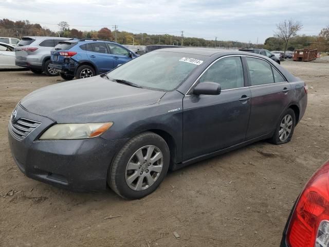 2009 Toyota Camry Hybrid