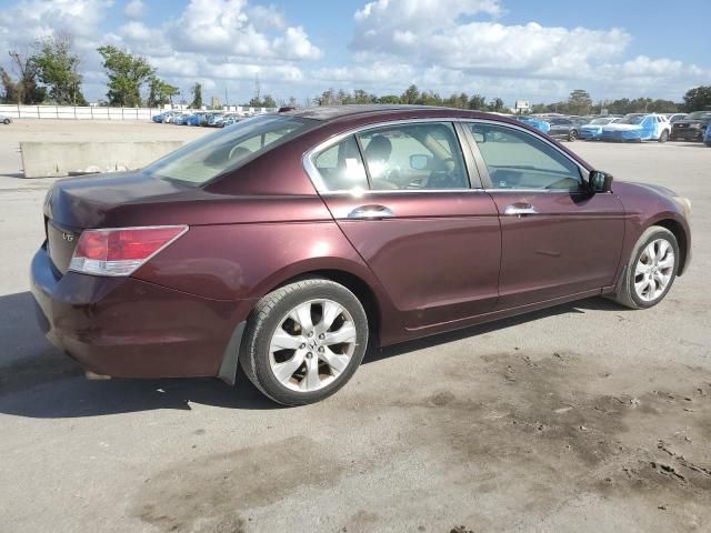 2010 Honda Accord EXL