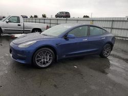 Salvage cars for sale at auction: 2023 Tesla Model 3