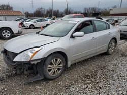 Salvage cars for sale at Columbus, OH auction: 2012 Nissan Altima Base