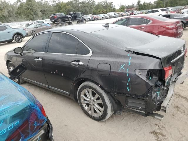 2010 Lexus ES 350