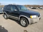 2001 Ford Escape XLT