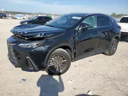 Salvage cars for sale at Houston, TX auction: 2024 Lexus NX 250 Base