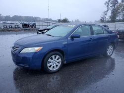 Toyota Vehiculos salvage en venta: 2009 Toyota Camry Hybrid