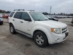 2009 Ford Escape Hybrid