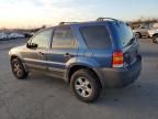 2007 Ford Escape XLT