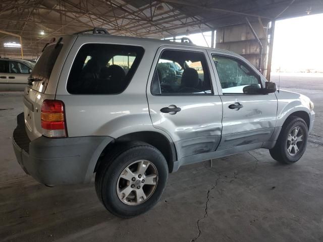 2005 Ford Escape XLT