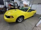 2001 Ford Mustang