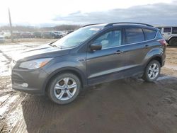 2016 Ford Escape SE en venta en Portland, MI