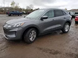 2021 Ford Escape SE en venta en Columbia Station, OH