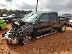 Salvage cars for sale from Copart China Grove, NC: 2013 Ford F150 Supercrew