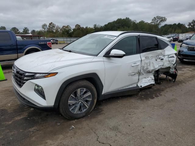 2023 Hyundai Tucson Blue