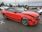 2013 Ford Mustang