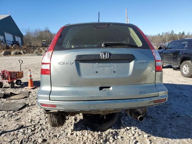 2010 Honda CR-V LX