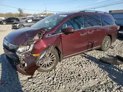 2020 Honda Odyssey Elite en venta en Windsor, NJ