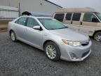 2014 Toyota Camry Hybrid