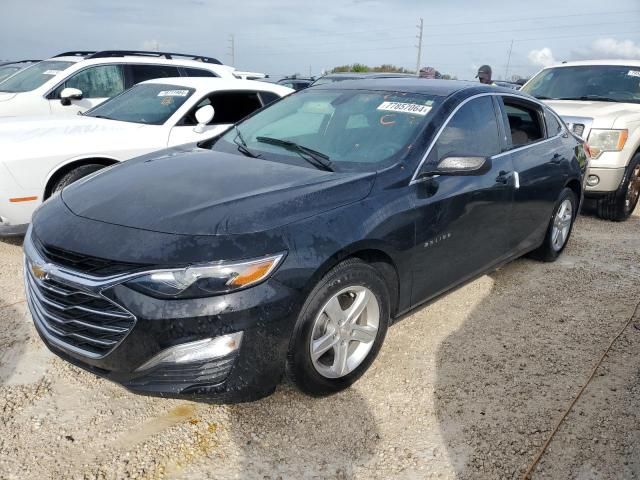 2019 Chevrolet Malibu LS