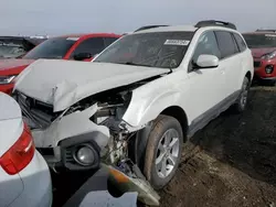 Salvage cars for sale at Brighton, CO auction: 2013 Subaru Outback 2.5I Limited