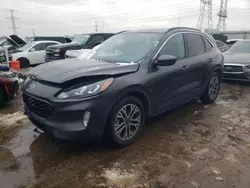 Salvage cars for sale at Elgin, IL auction: 2020 Ford Escape SEL