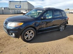 Hyundai Santa fe salvage cars for sale: 2011 Hyundai Santa FE Limited