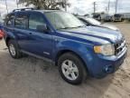 2008 Ford Escape HEV