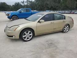 Salvage cars for sale at Ocala, FL auction: 2004 Nissan Maxima SE