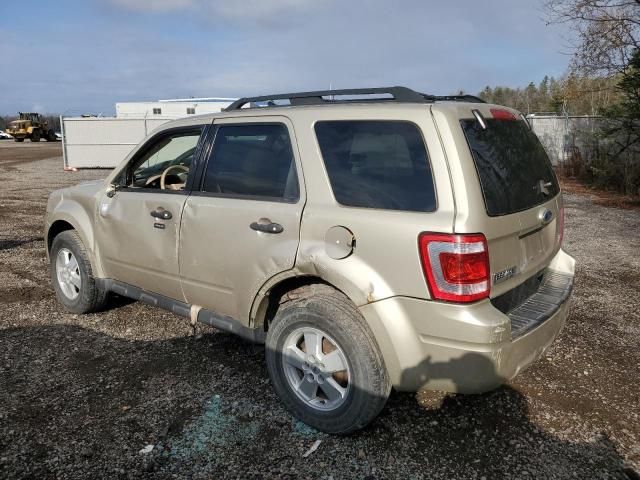 2010 Ford Escape XLT