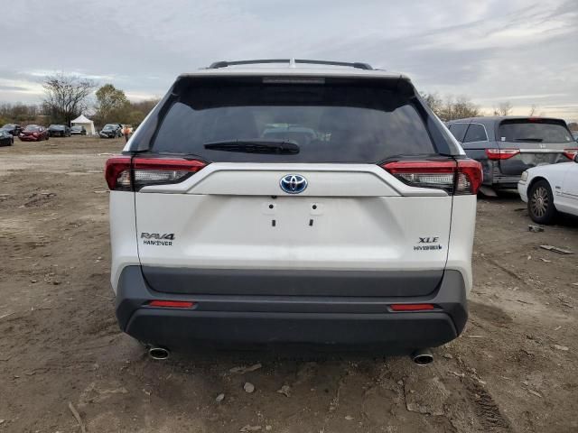 2024 Toyota Rav4 XLE Premium