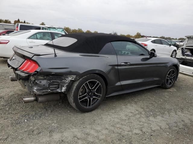 2019 Ford Mustang