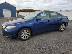 Toyota salvage cars for sale: 2009 Toyota Camry Hybrid