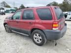 2006 Ford Escape XLT