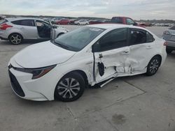 Toyota Corolla salvage cars for sale: 2021 Toyota Corolla LE