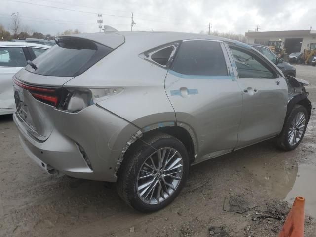 2024 Lexus NX 350H Base