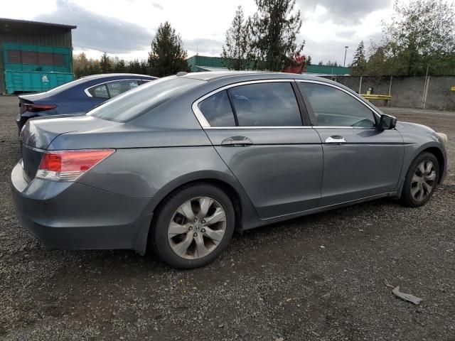 2010 Honda Accord EXL