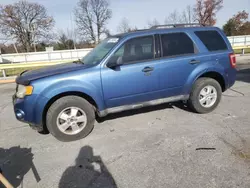 Ford Escape salvage cars for sale: 2009 Ford Escape XLT