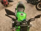 2024 Kawasaki ER500