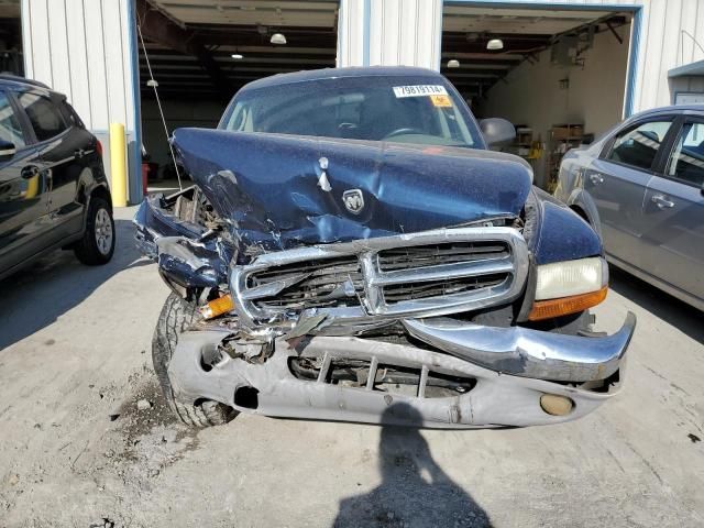 2004 Dodge Dakota Quad SLT