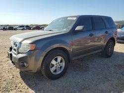 Vehiculos salvage en venta de Copart San Antonio, TX: 2010 Ford Escape XLS