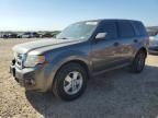 2010 Ford Escape XLS