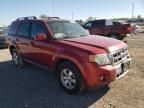 2009 Ford Escape Limited