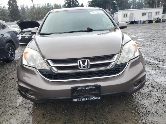 2010 Honda CR-V EXL