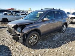 Salvage cars for sale from Copart Cahokia Heights, IL: 2010 Honda CR-V EXL