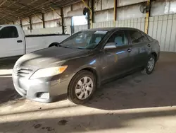 Salvage cars for sale at Phoenix, AZ auction: 2011 Toyota Camry Base