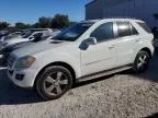 2009 Mercedes-Benz ML 350