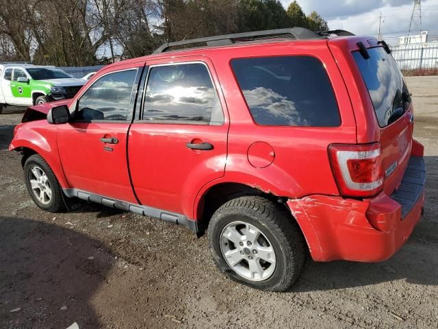 2009 Ford Escape XLT