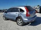 2010 Honda CR-V EXL